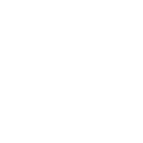 NODRCTN